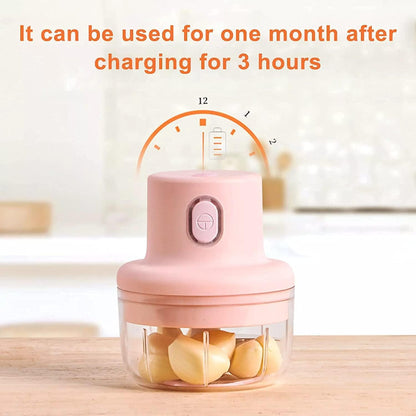 Zrivenox Kitchen – USB Rechargeable Mini Food Chopper